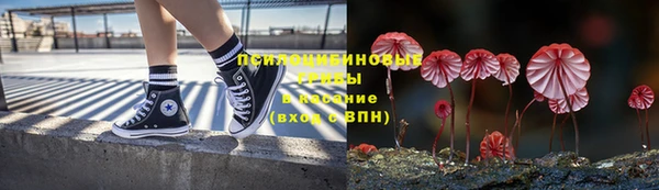 ALPHA PVP Белокуриха