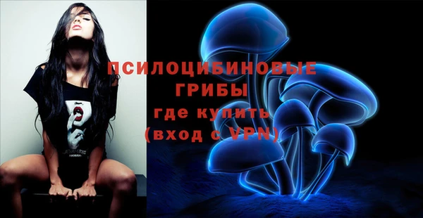 ALPHA PVP Белокуриха